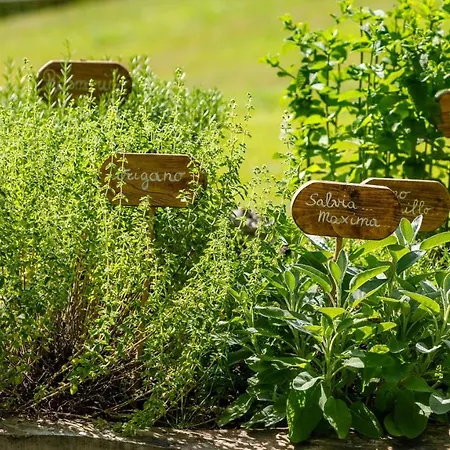 La Casa Di Nani 8, Emma Forlì