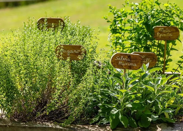 La Casa Di Nanì 8, Emma Forlì